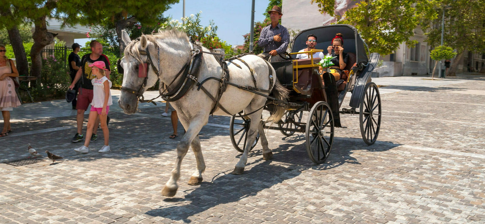 Back in time with Athens’ horse-drawn trams