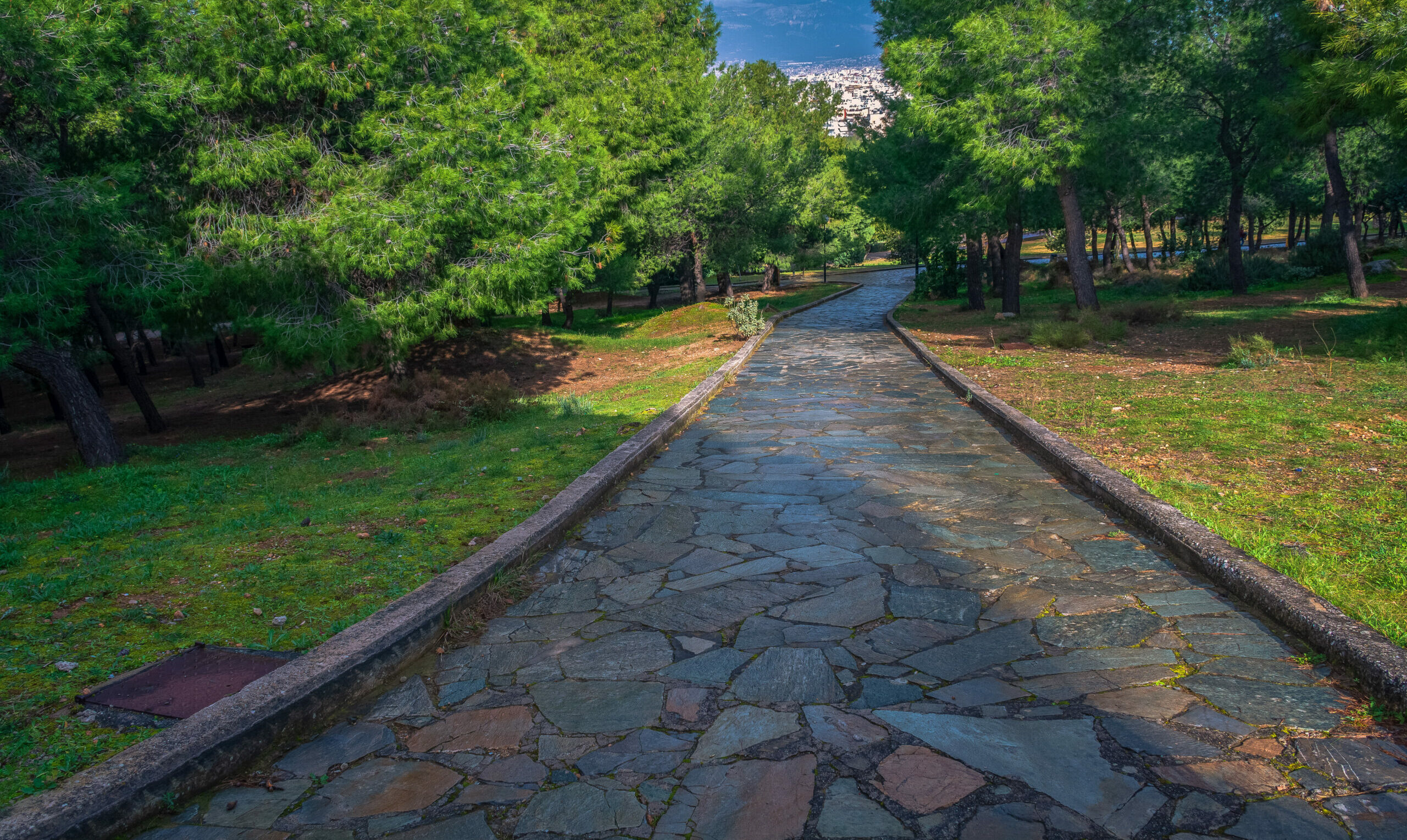 Veikos Grove: The favorite green destination of Athens